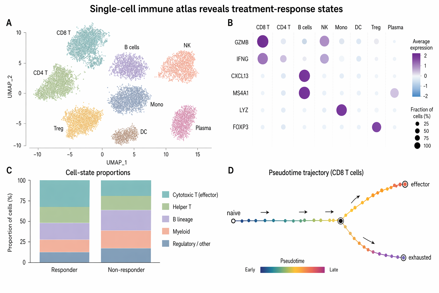 Single-cell immune atlas reveals treatment-response states
