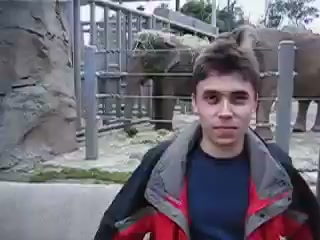 动物园大象前男子的复古胶片时刻 1